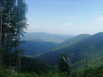 Fotografija s spletne strani Marianne Stanzl na poti