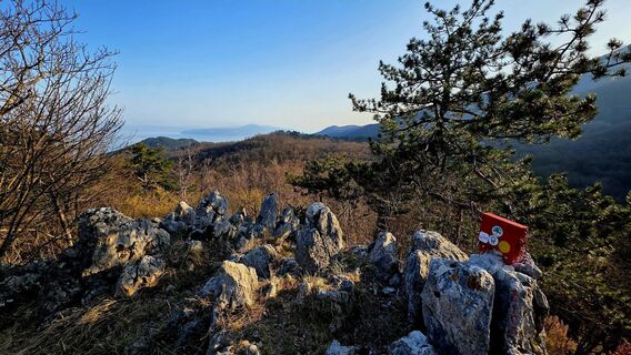 Photo de Danijel Sorola le long du parcours