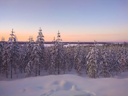 Die Landschaft von Pirunvaara