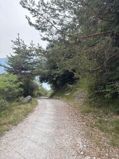 Zdjęcie z Tünde Szilágyi wzdłuż trasy