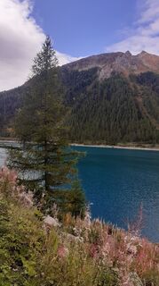 Foto da Krachr lungo il tour