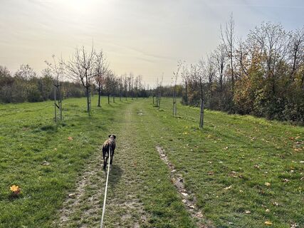 Foto von Car Wanderfreude entlang der Tour