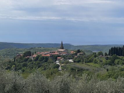 Fotografija s spletne strani Friederike Steyrer na poti