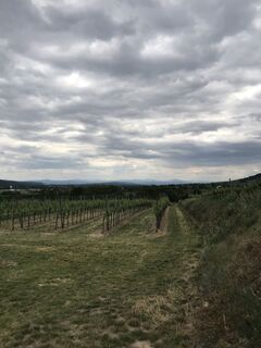 Foto von Maxspeed entlang der Tour