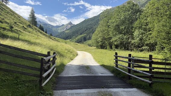 Fotografie z Marian Feiler na trase