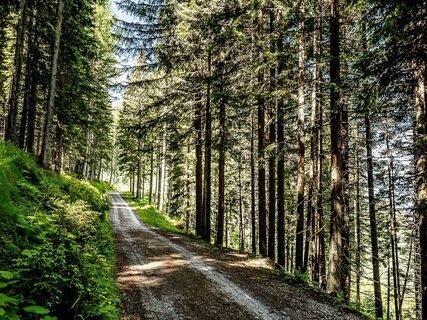 maiskogel - bachler trail - tauernradweg_img_73152027