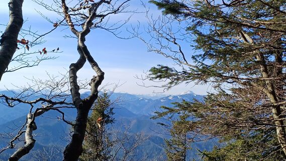 Foto från Lydia Pritzova under resans gång