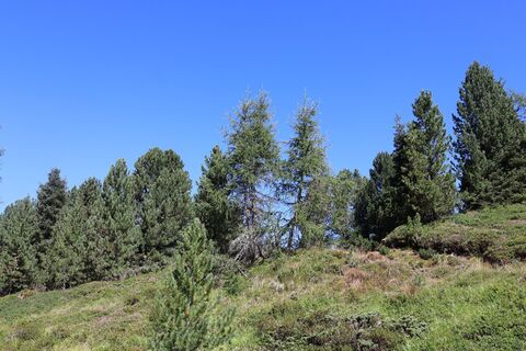 Photo de Josef Sepp Nagiller le long du parcours
