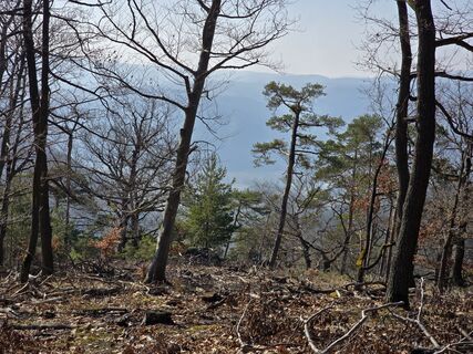 Fotografie z Martina Gerneck na trase