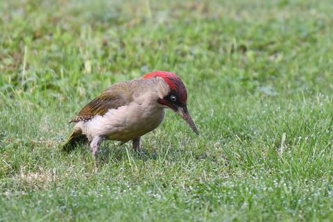 Aufmerksame Wanderer freuen sich über die Besonderheiten der Flora und Fauna
