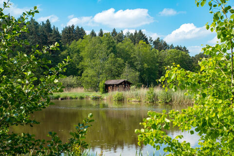 Weiher am Weg