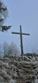 Foto de Sandy a lo largo del recorrido