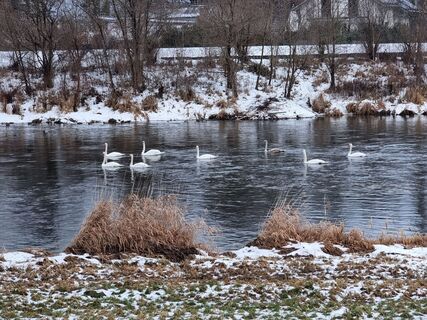 Fotografia z Felix na trase