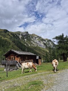 Photo de Miriamhaferkamp le long du parcours