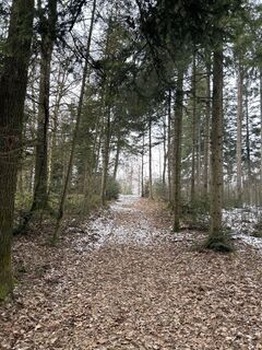 Foto von Gerhard Wagner 10 entlang der Tour
