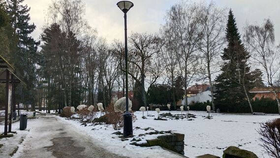 Fotografija s spletne strani Jara D. na poti