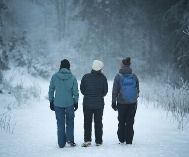 Winterwandern am Feldberg