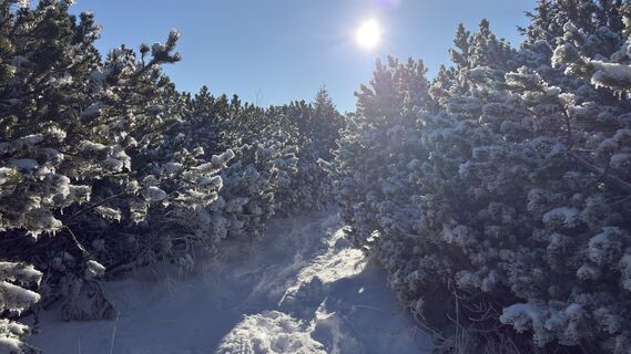 Foto de Raphael Höller a lo largo del recorrido
