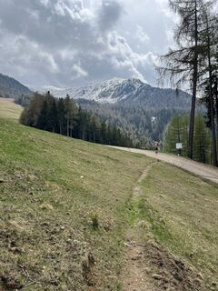 Foto från Peter Schäfer under resans gång