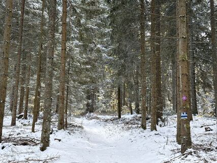 Foto von Robert Corazza entlang der Tour