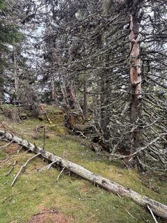 Fotografia z Benediktus_prim na trase