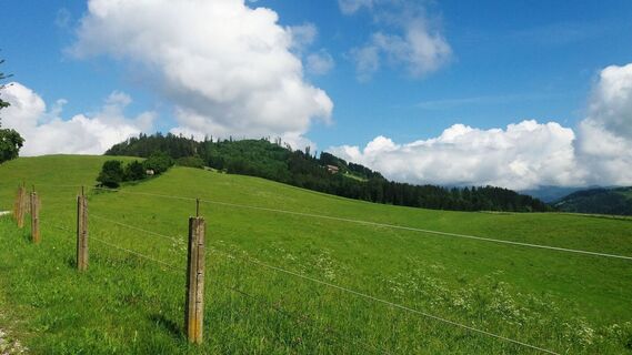 Ausblick beim Reinthalerhof