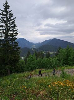 Foto von filmal 1 entlang der Tour