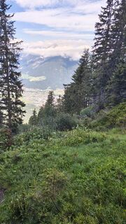 Photo de Bergtroll le long du parcours