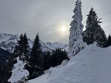 Fotografija s spletne strani Alexander Puplick na poti