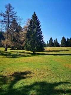 Foto de 3d63 ru^^n3r a lo largo del recorrido