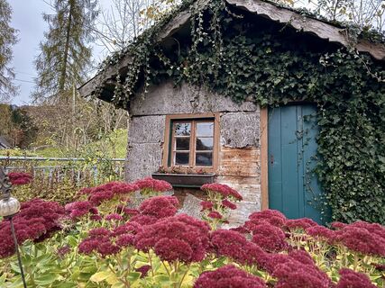 Foto van Dani Geiger / Natur_erleben_dg langs de tour