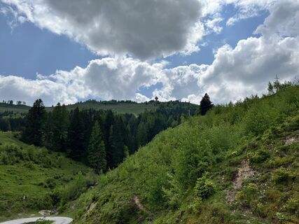Photo de Kerstin Albrecht le long du parcours
