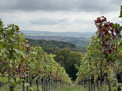 Photo de Norbert Herbig le long du parcours
