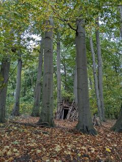 Foto från Gabor Kiraly under resans gång