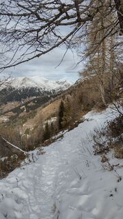 Fotografija s spletne strani oscarpette82 na poti