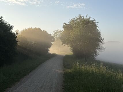 Foto von Schaali entlang der Tour