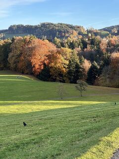 Fotó a Cyrill Bischof honlapról a túra során