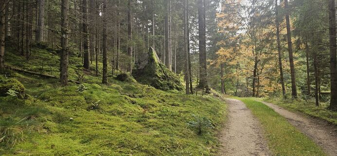 Fotografia z Berni_S na trase