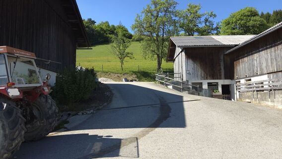 Aufstieg zum Gehöft Mitternesselberg
