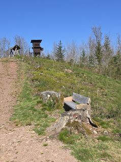 Foto von Michel Kennel entlang der Tour