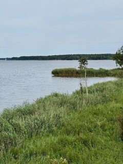 Zdjęcie z Thomas Maiwald wzdłuż trasy