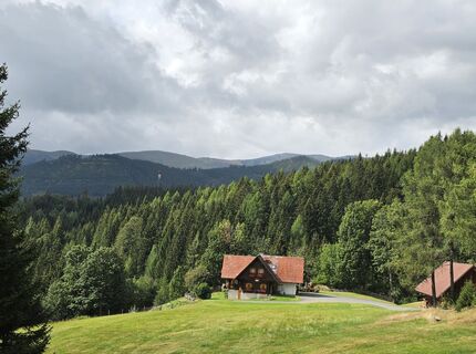 Foto von MRDL entlang der Tour