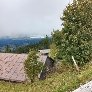 Foto de mosi mönä a lo largo del recorrido