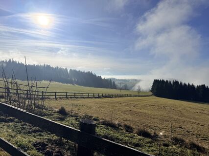 Photo de Renate Spitzl le long du parcours