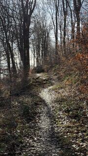 Fotografia z edefreak na trase