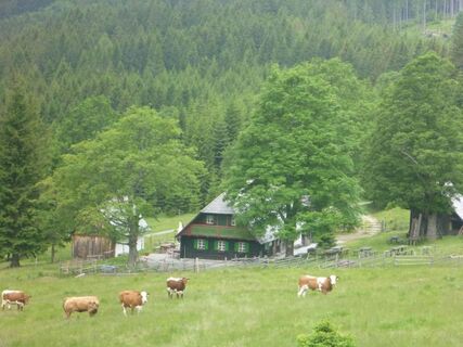 Trahütter Hütte