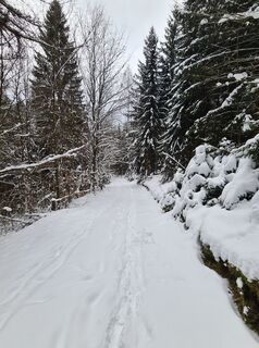 Photo from Holger Turban along the tour