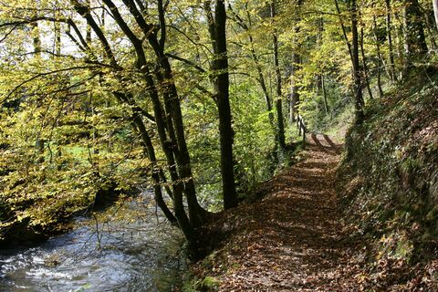 Auf dem Franziskusweg in Oberharmersbach