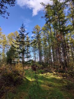 Zdjęcie z DevilsBastard wzdłuż trasy