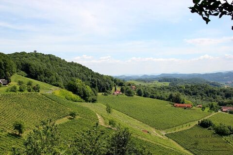 Plaschberg Warte